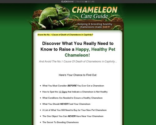 Chameleon Care...